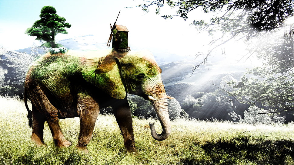 brown and gray elephant, digital art, animals, elephant HD wallpaper