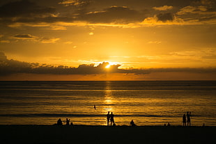 people near seashore during golden hour HD wallpaper