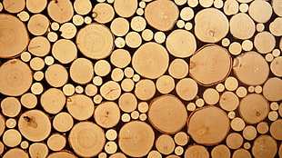 pile of woods wallpaper, nature, texture, wood, circle