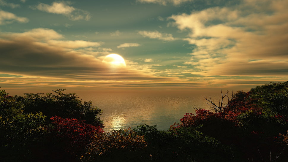 bed of flowers, beach, sand, sky HD wallpaper