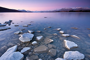 stones in lake during daytime