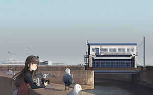 black-haired female anime character illustration, sky, original characters, anime, seagulls