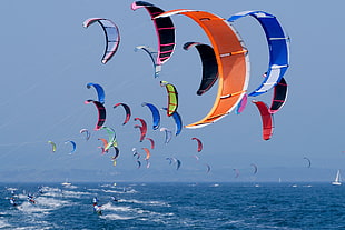 multicolored kite surfing lot, kitesurfing, sport , sea