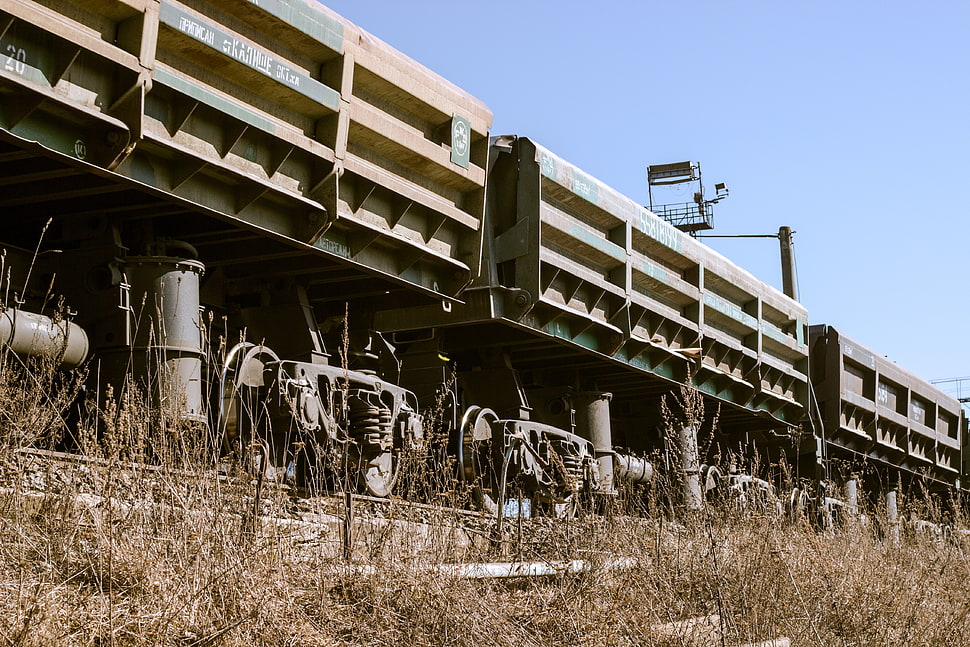 gray metal train, train, Russia HD wallpaper