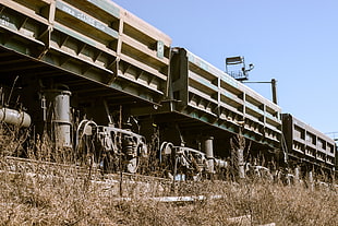 gray metal train, train, Russia