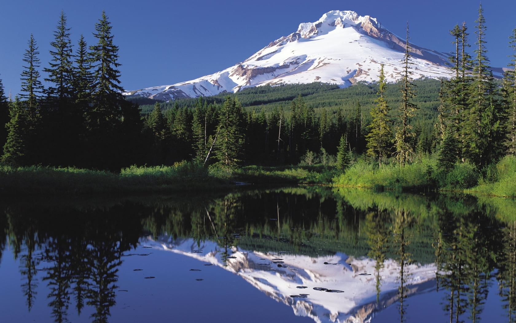 large body of water near snowy mountain under clear sky during daytime, mt hood, oregon
