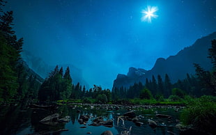 river in forest, landscape, river, night, forest HD wallpaper