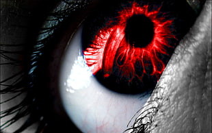 selective color of red eye
