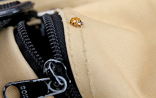 yellow ladybug on beige bag