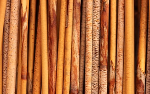 close-up photo of sticks
