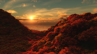 tree covered hills during sunset
