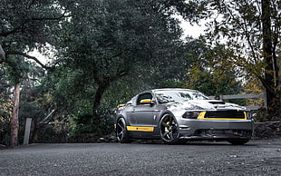 gray Shelby GT500, car, Ford Mustang, Shelby Cobra, muscle cars