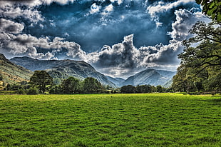 grassy plains across the mountains under blue sky, borrowdale HD wallpaper