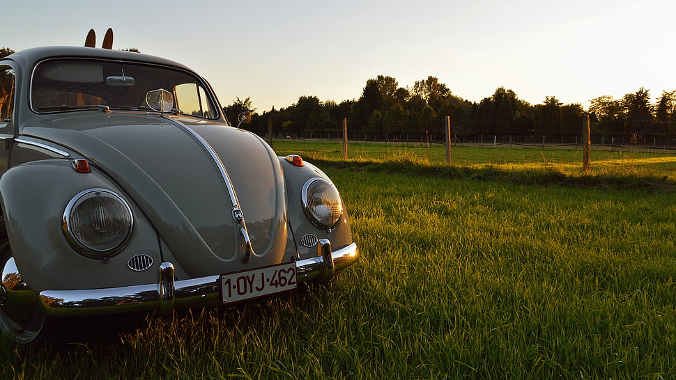 green Volkswagen Beetle parked on grass field HD wallpaper