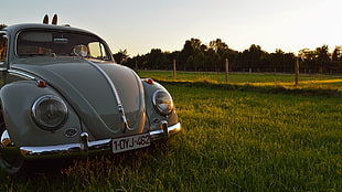 green Volkswagen Beetle parked on grass field