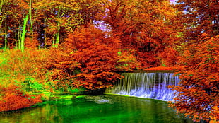 waterfalls between orange maple trees, fall, forest HD wallpaper