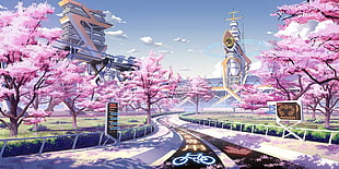 gray road in between cherry blossom trees illustration