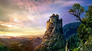 castle on cliff mountain, architecture, castle, ancient, nature