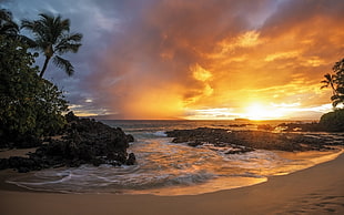 seashore, nature, landscape, sunset, sand HD wallpaper