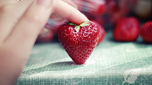 person holding strawberry HD wallpaper