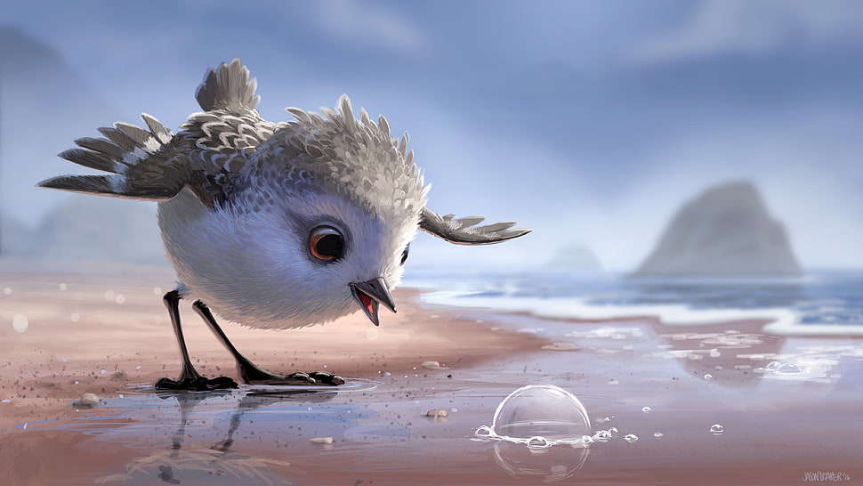 white and gray animated bird on seashore looking at bubbles HD wallpaper