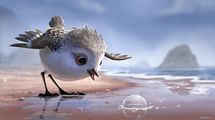 white and gray animated bird on seashore looking at bubbles
