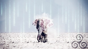 brown elephant, elephant, triskel, desert, The Matrix HD wallpaper