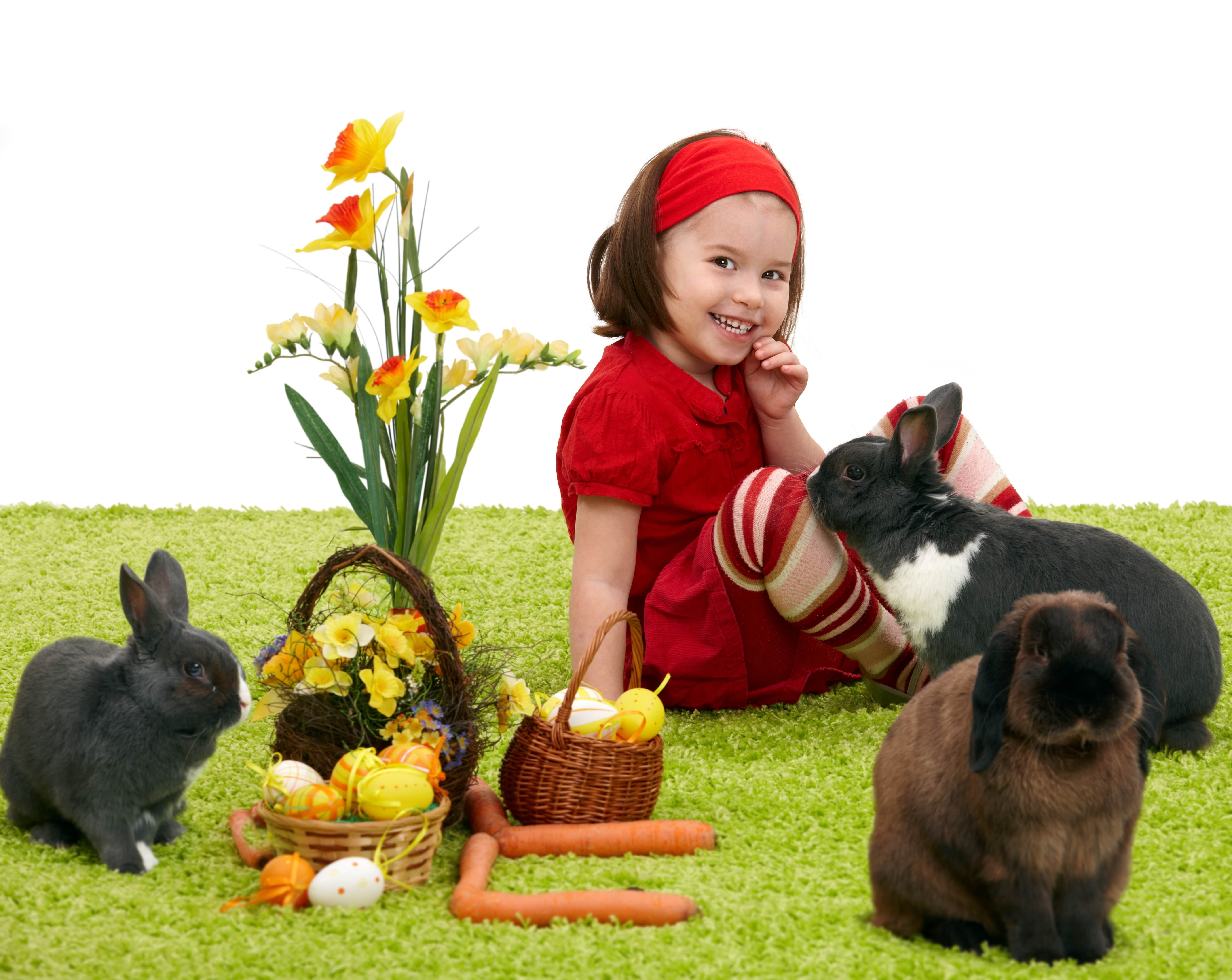 girl on red crew-neck top sitting on green grass beside black and white rabbit \