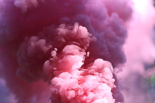 macro photography of pink smoke