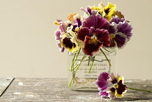 purple and yellow petaled flowers in clear glass printed vase