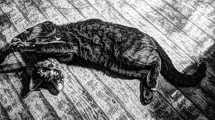 grayscale photo of cat