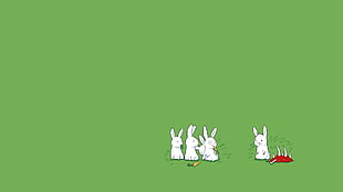 five white rabbits illustration, humor, rabbits, minimalism HD wallpaper