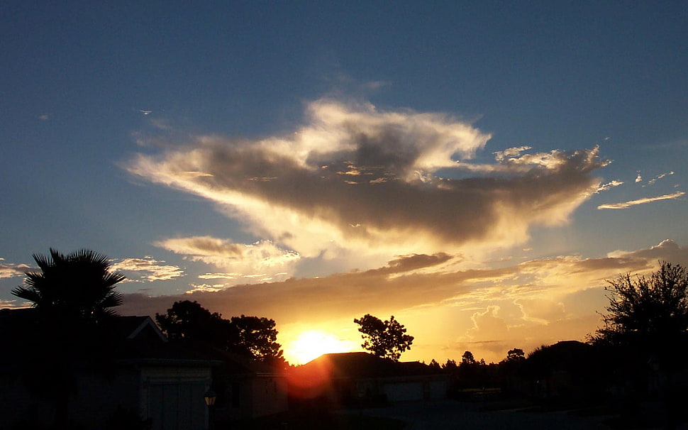 Sun light during day time HD wallpaper