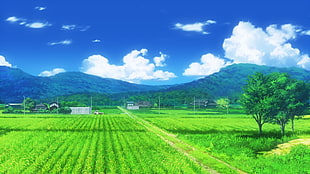 green rice field photo, Non Non Biyori, field