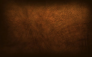 brown wooden surface, leather, texture