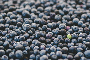 blueberry fruits, Blueberry, Berry, Ripe