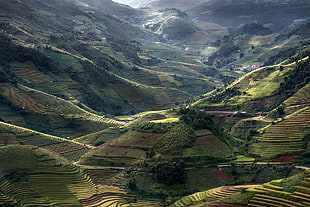 rice terraces, nature, landscape, mountains, field