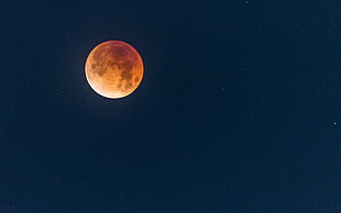 full moon, Moon, Full moon, Starry sky HD wallpaper