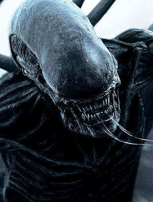 Alien Species digital wallpaper HD wallpaper