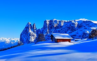 brown shed with mountain