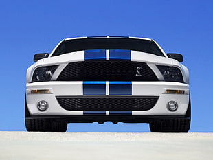 white and blue Shelby Cobra coupe, vehicle, Ford, 2007 Ford Shelby GT500, Ford Shelby GT500 HD wallpaper