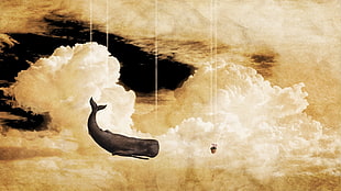 painting of black sperm whale and clouds, sky, whale, clouds, imagination HD wallpaper