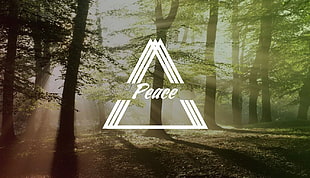 peace poster, trees, minimalism, peace, triangle