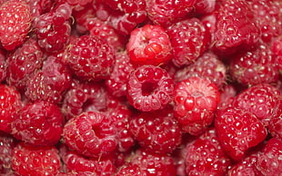raspberry lot HD wallpaper