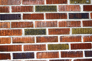 multicolored bricks wall