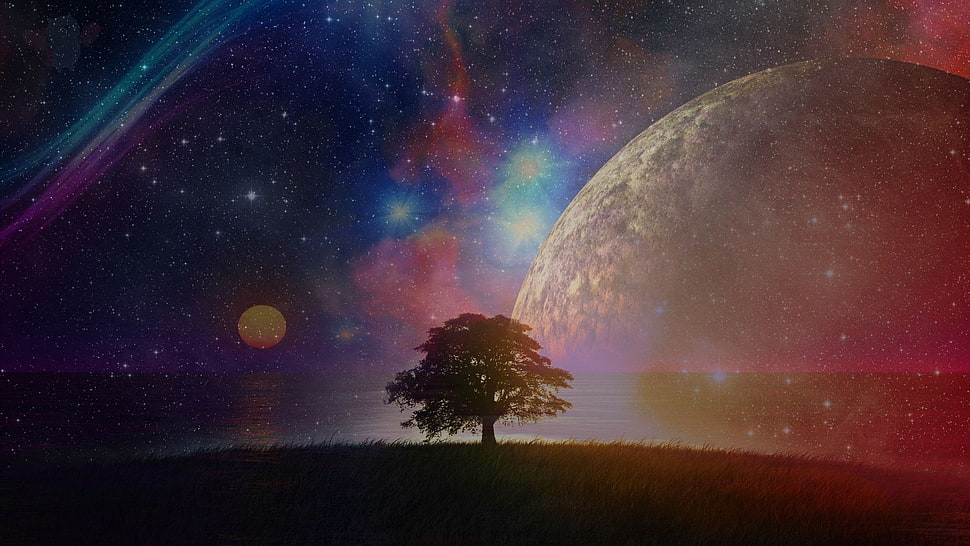 tree and galaxy illustration, nebula HD wallpaper