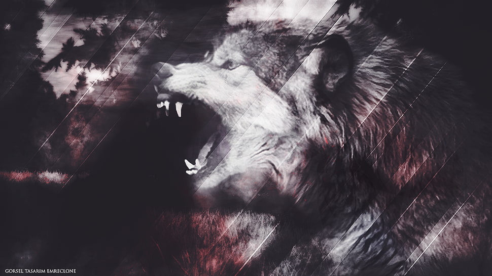 brown and white wolf wallpaper, Lycan, wolf HD wallpaper