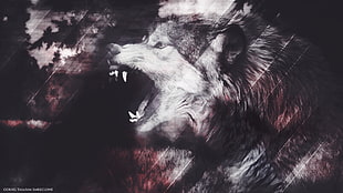 brown and white wolf wallpaper, Lycan, wolf