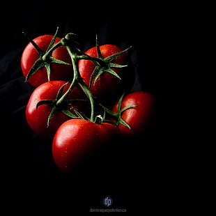 photo of five red tomatoes HD wallpaper
