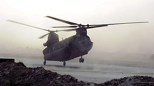 gray helicopter, military aircraft, Boeing CH-47 Chinook, vehicle, aircraft
